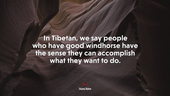 In Tibetan, we say people who have good windhorse have the sense they can accomplish what they want to do. | Sakyong Mipham quote