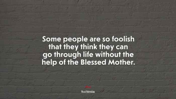 Some people are so foolish that they think they can go through life without the help of the Blessed Mother. | Pio of Pietrelcina quote