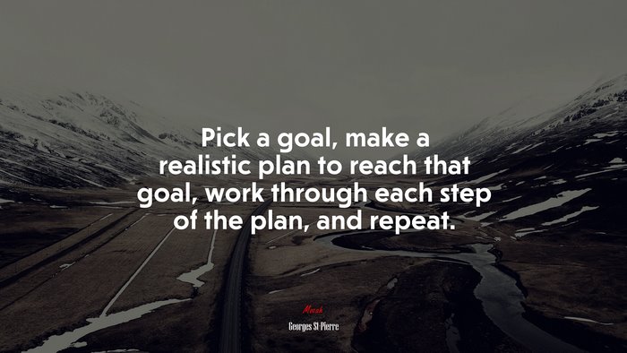 Pick a goal, make a realistic plan to reach that goal, work through each step of the plan, and repeat. | Georges St-Pierre quote