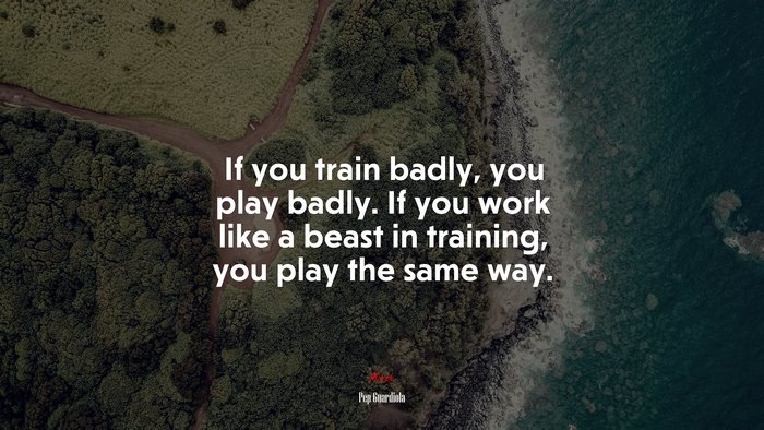 If you train badly, you play badly. If you work like a beast in training, you play the same way. | Pep Guardiola quote