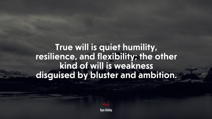 True will is quiet humility, resilience, and flexibility; the other kind of will is weakness disguised by bluster and ambition. | Ryan Holiday quote