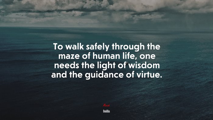 To walk safely through the maze of human life, one needs the light of wisdom and the guidance of virtue. | Buddha quote
