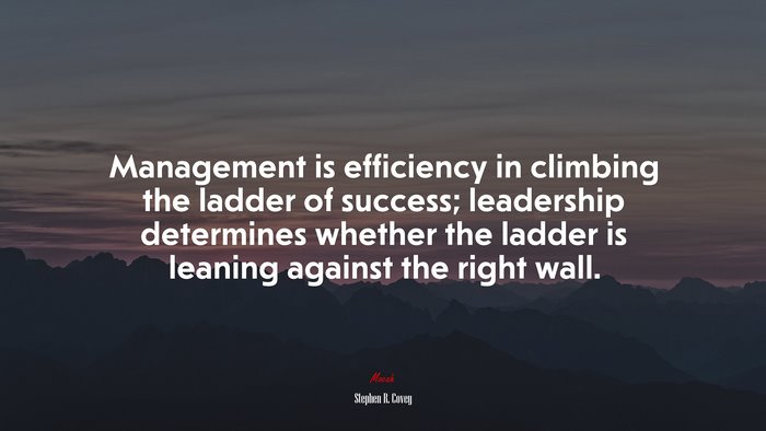 Management is efficiency in climbing the ladder of success; leadership determines whether the ladder is leaning against the right wall. | Stephen R. Covey quote