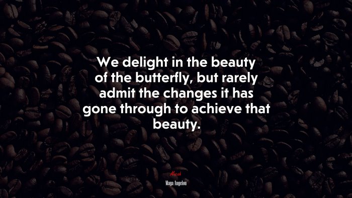We delight in the beauty of the butterfly, but rarely admit the changes it has gone through to achieve that beauty. | Maya Angelou quote