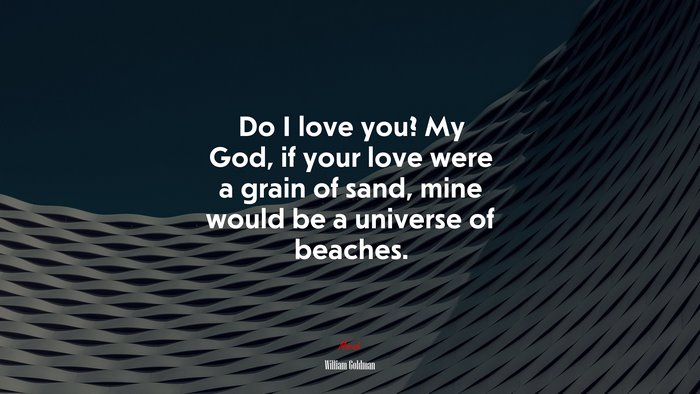 Do I love you? My God, if your love were a grain of sand, mine would be a universe of beaches. | William Goldman quote