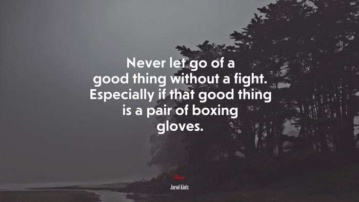 Never let go of a good thing without a fight. Especially if that good thing is a pair of boxing gloves. | Jarod Kintz quote