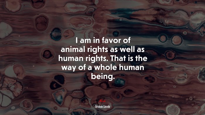 I am in favor of animal rights as well as human rights. That is the way of a whole human being. | Abraham Lincoln quote