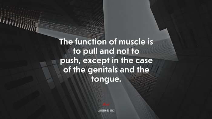 The function of muscle is to pull and not to push, except in the case of the genitals and the tongue. | Leonardo da Vinci quote