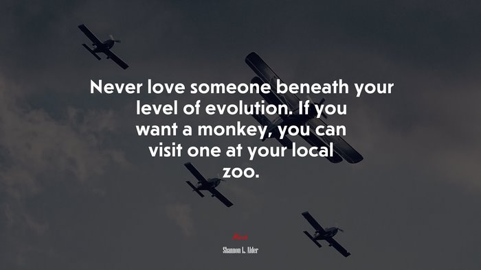 Never love someone beneath your level of evolution. If you want a monkey, you can visit one at your local zoo. | Shannon L. Alder quote