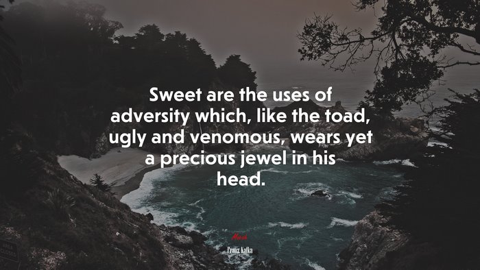 Sweet are the uses of adversity which, like the toad, ugly and venomous, wears yet a precious jewel in his head. | Franz Kafka quote