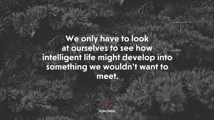 We only have to look at ourselves to see how intelligent life might develop into something we wouldn’t want to meet. | Stephen Hawking quote