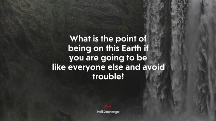 What is the point of being on this Earth if you are going to be like everyone else and avoid trouble? | Arnold Schwarzenegger quote