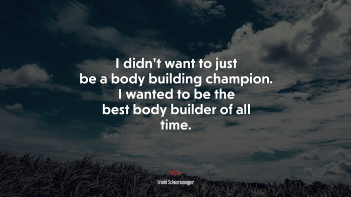 I didnt want to just be a body building champion. I wanted to be the best body builder of all time. | Arnold Schwarzenegger quote