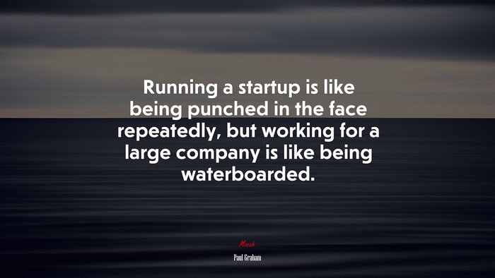 Running a startup is like being punched in the face repeatedly, but working for a large company is like being waterboarded. | Paul Graham quote