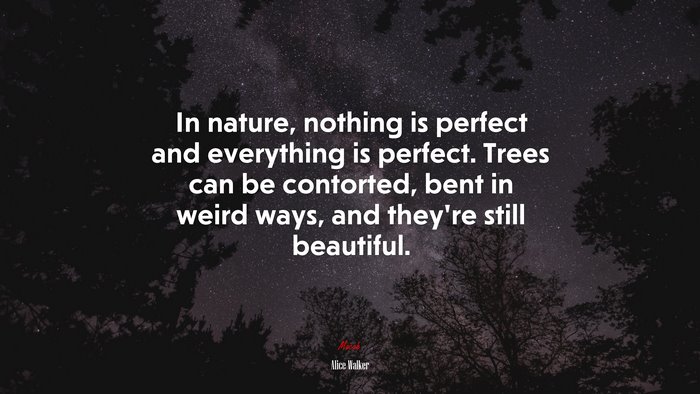 In nature, nothing is perfect and everything is perfect. Trees can be contorted, bent in weird ways, and they’re still beautiful. | Alice Walker quote