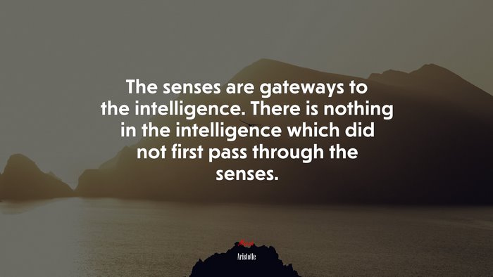The senses are gateways to the intelligence. There is nothing in the intelligence which did not first pass through the senses. | Aristotle quote