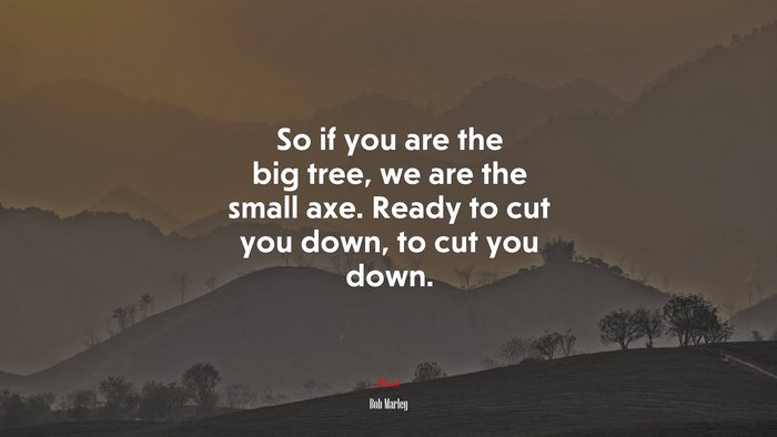 So if you are the big tree, we are the small axe. Ready to cut you down, to cut you down. | Bob Marley quote