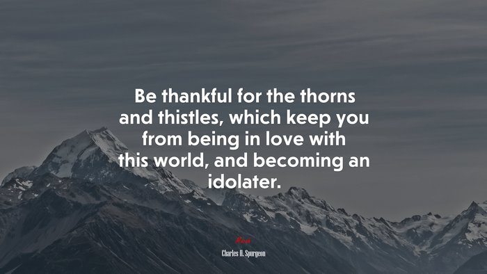 Be thankful for the thorns and thistles, which keep you from being in love with this world, and becoming an idolater. | Charles H. Spurgeon quote