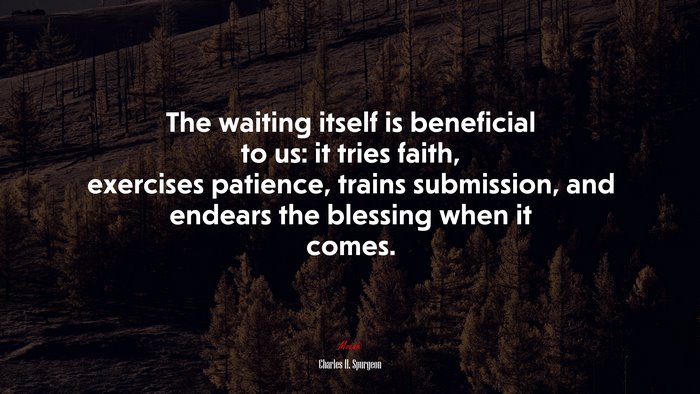 The waiting itself is beneficial to us: it tries faith, exercises patience, trains submission, and endears the blessing when it comes. | Charles H. Spurgeon quote