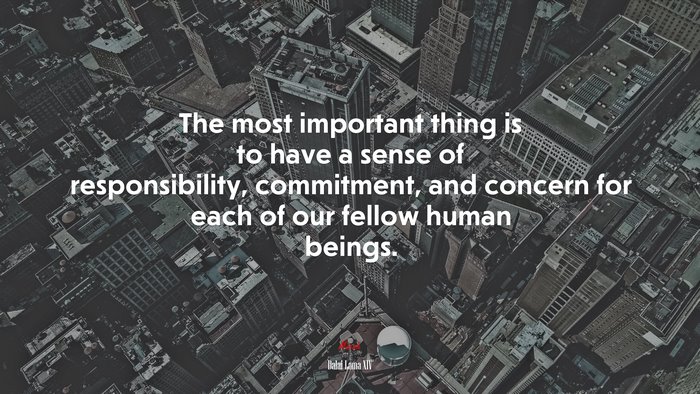 The most important thing is to have a sense of responsibility, commitment, and concern for each of our fellow human beings. | Dalai Lama XIV quote