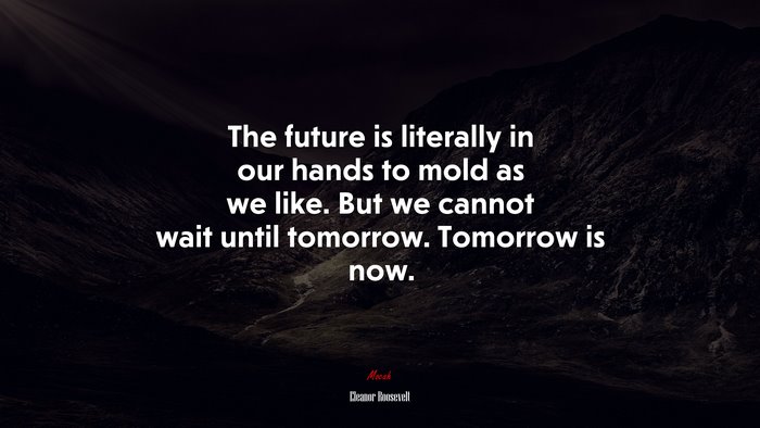 The future is literally in our hands to mold as we like. But we cannot wait until tomorrow. Tomorrow is now. | Eleanor Roosevelt quote