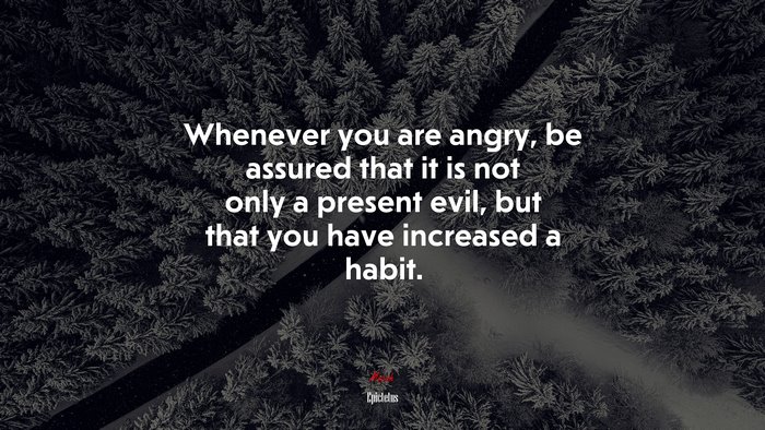 Whenever you are angry, be assured that it is not only a present evil, but that you have increased a habit. | Epictetus quote