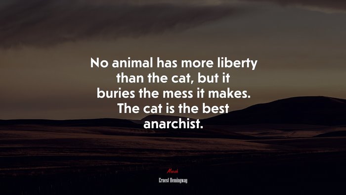No animal has more liberty than the cat, but it buries the mess it makes. The cat is the best anarchist. | Ernest Hemingway quote