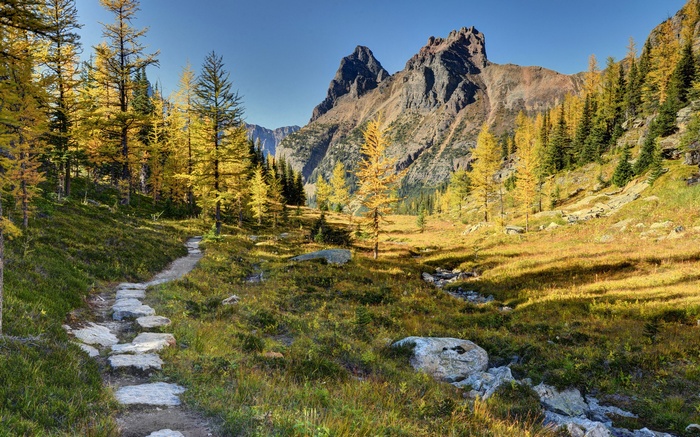 Mountain valley with golden larches and a stone path