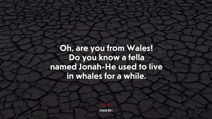 Oh, are you from Wales? Do you know a fella named Jonah-He used to live in whales for a while. | Groucho Marx quote