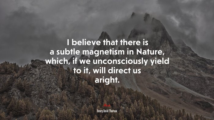 I believe that there is a subtle magnetism in Nature, which, if we unconsciously yield to it, will direct us aright. | Henry David Thoreau quote