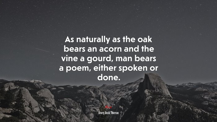 As naturally as the oak bears an acorn and the vine a gourd, man bears a poem, either spoken or done. | Henry David Thoreau quote