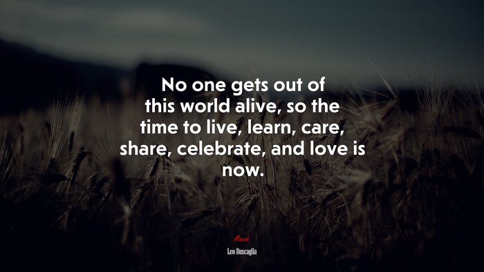 No one gets out of this world alive, so the time to live, learn, care, share, celebrate, and love is now. | Leo Buscaglia quote