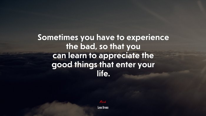 Sometimes you have to experience the bad, so that you can learn to appreciate the good things that enter your life. | Leon Brown quote