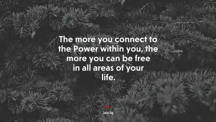 The more you connect to the Power within you, the more you can be free in all areas of your life. | Louise Hay quote