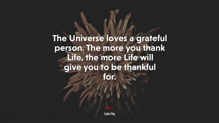 The Universe loves a grateful person. The more you thank Life, the more Life will give you to be thankful for. | Louise Hay quote