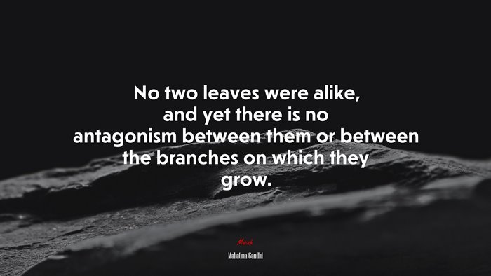 No two leaves were alike, and yet there is no antagonism between them or between the branches on which they grow. | Mahatma Gandhi quote