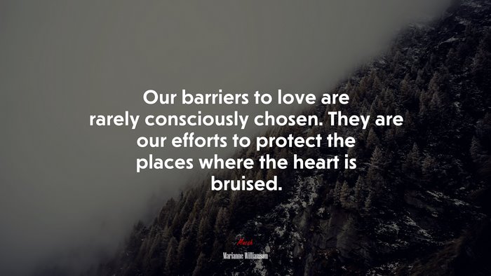 Our barriers to love are rarely consciously chosen. They are our efforts to protect the places where the heart is bruised. | Marianne Williamson quote