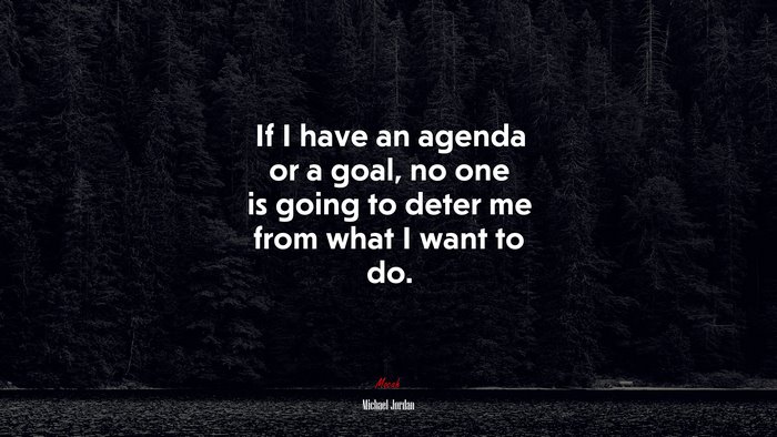 If I have an agenda or a goal, no one is going to deter me from what I want to do. | Michael Jordan quote