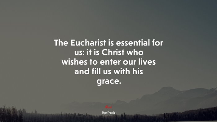The Eucharist is essential for us: it is Christ who wishes to enter our lives and fill us with his grace. | Pope Francis quote