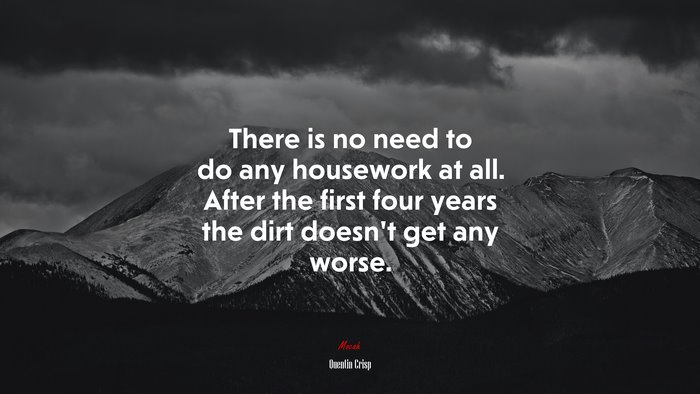 There is no need to do any housework at all. After the first four years the dirt doesn’t get any worse. | Quentin Crisp quote