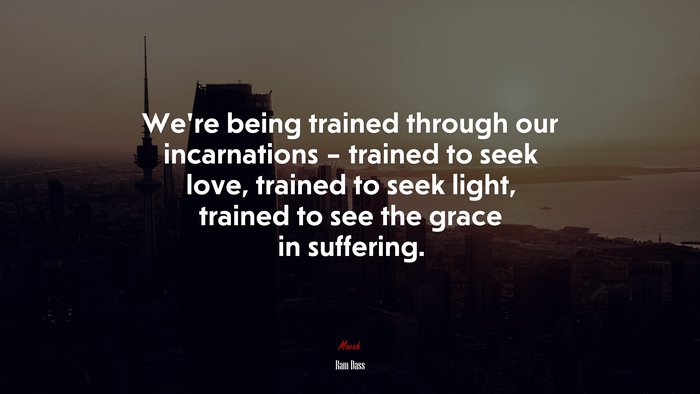 We’re being trained through our incarnations – trained to seek love, trained to seek light, trained to see the grace in suffering. | Ram Dass quote