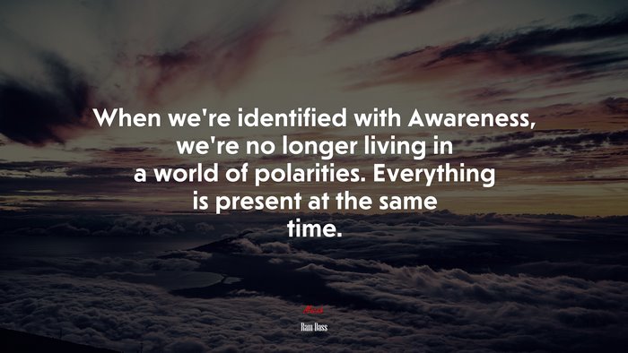 When we’re identified with Awareness, we’re no longer living in a world of polarities. Everything is present at the same time. | Ram Dass quote