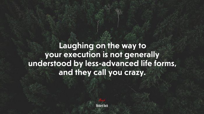 Laughing on the way to your execution is not generally understood by less-advanced life forms, and they call you crazy. | Richard Bach quote