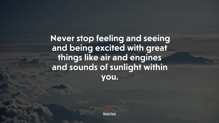 Never stop feeling and seeing and being excited with great things like air and engines and sounds of sunlight within you. | Richard Bach quote