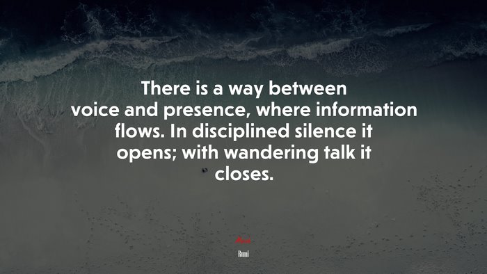 There is a way between voice and presence, where information flows. In disciplined silence it opens; with wandering talk it closes. | Rumi quote