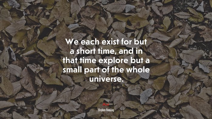 We each exist for but a short time, and in that time explore but a small part of the whole universe. | Stephen Hawking quote