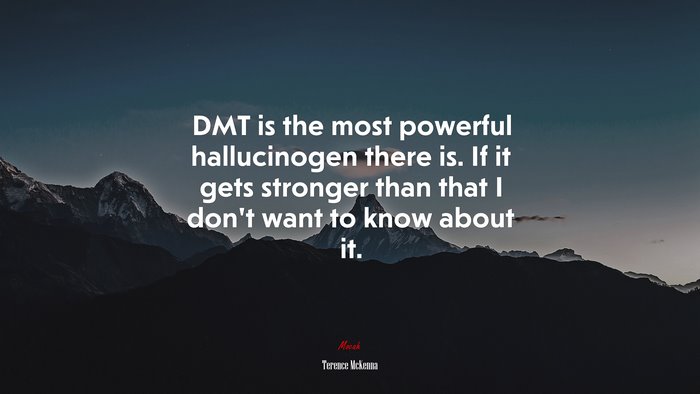 DMT is the most powerful hallucinogen there is. If it gets stronger than that I don’t want to know about it. | Terence McKenna quote