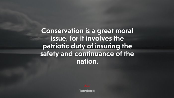 Conservation is a great moral issue, for it involves the patriotic duty of insuring the safety and continuance of the nation. | Theodore Roosevelt quote