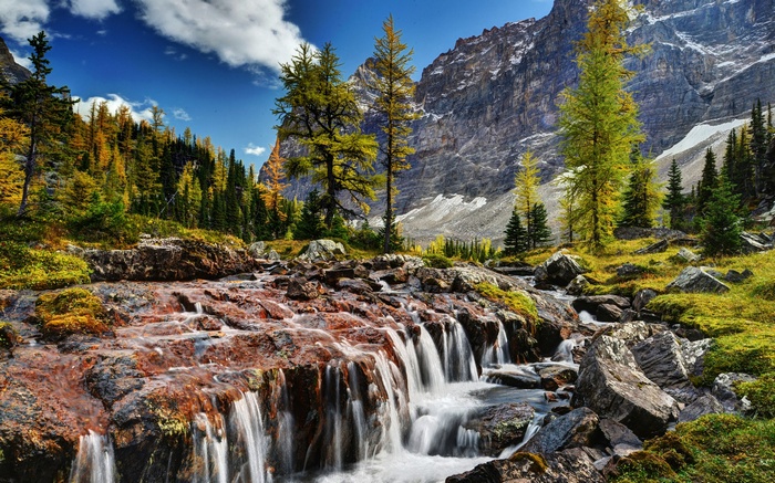 Mountain stream flowing over rocks with autumn trees