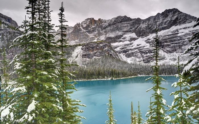 Snow-covered pine trees and turquoise lake with mountains